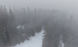 Ilgaz Dağı'nda yoğun sis ve kar yağışı etkili oluyor