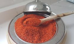 İslahiye biberinden elde edilen pul biberin yüzde 30'u ihraç ediliyor