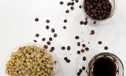 Kahve üretiminde geleneksel yöntemlere çevreci alternatif