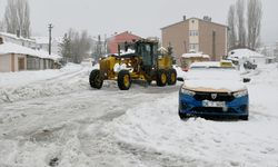 Kar kalınlığının 1 metreyi aştığı Sarıkamış'ta biriken kar şehir dışına taşınıyor
