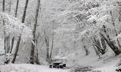 Kırklareli'nin yüksek kesimlerinde kar etkili oluyor
