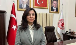KÜÇÜK YAŞ, BÜYÜK SUÇ - TBMM Suça Sürüklenen Çocuklara İlişkin Araştırma Komisyonu Başkanı Durgut, yol haritalarını AA'ya anlattı: