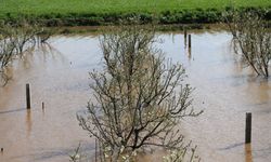 Manisa'da sağanak ve fırtınanın ardından hasar tespit çalışmaları sürüyor