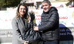 Muğla'da üzümsü meyvelerin ekim alanı genişliyor