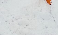 Muş-Kulp kara yolunda yol açma çalışması yapan iş makinesinin üzerine çığ düştü