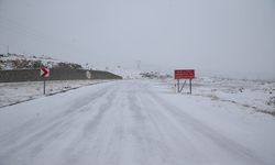 Niğde'de kar yağışı ve soğuk hava etkili oluyor