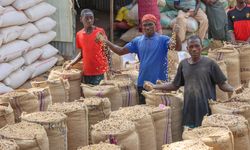 Nijerya'nın kuzeybatısında tahıl ticaretinin kalbi: Argungu pazarı
