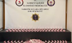 Samsun'da uyuşturucu operasyonunda 2 zanlı yakalandı