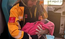 Şanlıurfa'da hastane yolundaki hamile kadın ambulansta doğum yaptı