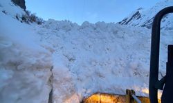 Şırnak'ta çığ düşmesi sonucu grup köy yolu ulaşıma kapandı