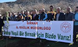 Şırnak'ta 'İl Sağlık Müdürlüğü Hatıra Ormanı' oluşturuldu