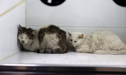 Sivas'ta iki katlı evde çıkan yangın itfaiye ekiplerince söndürüldü