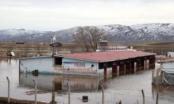 Sivas'ta Kangal köpeği çiftliği su altında kaldı