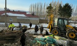 Sivas'ta kar nedeniyle çatısı çöken ağıldaki 40 koyun telef oldu