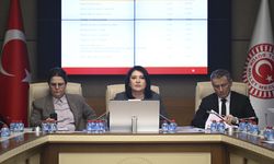 TBMM Dilekçe ile İnsan Haklarını İnceleme Karma Komisyonu toplandı