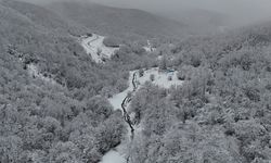 Tekirdağ'da karla kaplanan ormanlar güzel görüntü oluşturdu
