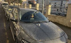 Tekirdağ'da yağmurla birlikte çamur yağdı