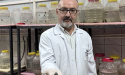 Tıbbi sülük yetiştiriciliğinde keçi kanının verimi artırdığı literatüre girdi