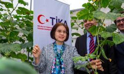 TİKA'dan Vietnam'da tayfundan etkilenen çiftçilere sera desteği