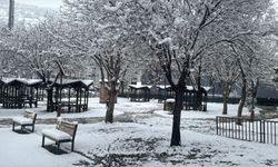 Tokat kent merkezinde kar yağışı devam ediyor