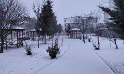 Tokat'ın Başçiftlik ilçesinde kar yağışı etkili oluyor