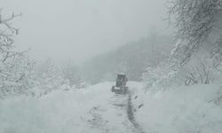 Tokat'ta kar yağışı etkili oldu