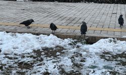 Trakya'da soğuk hava etkili oluyor