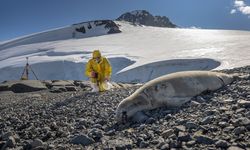 Türk bilim insanları Antarktika'daki araştırmalarıyla sağlık ve tarıma ışık tutuyor