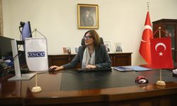 Türkiye'nin AGİT Daimi Temsilcisi Kızıltan, AA'nın 'Yılın Kareleri' oylamasına katıldı