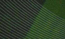 UEFA'nın 50. Olağan Genel Kongresi, Belçika'da yapıldı