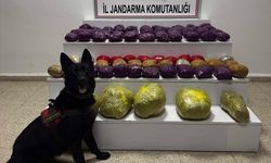 Van'da 31 kilo 551 gram uyuşturucu ele geçirildi
