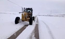 Van'da kardan kapanan 292 yerleşim yerinin yolu açıldı