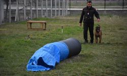 Afyonkarahisar'da Uluslararası ve Ulusal Arama Köpekleri Sınavı başladı