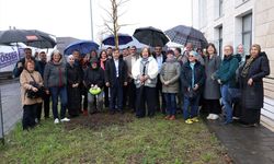 Almanya'da dini cemaat temsilcileri doğa için buluştu