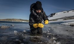 Antarktika'da göl ve deniz ekosistemleri üzerine çok disiplinli çalışma