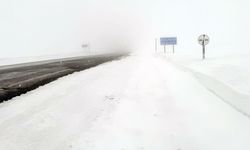 Ardahan-Şavşat kara yolu kar nedeniyle tır trafiğine kapatıldı