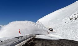 Ardahan-Şavşat kara yoluna düşen çığ temizlendi