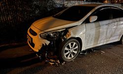 Arnavutköy'de başıboş at arabasının çarptığı 2 otomobilde hasar oluştu