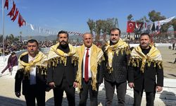 Aydın'da ertelenen deve güreşi festivali yapıldı