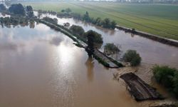 Aydın'da nehir taşması sonucu tarım arazileri su altında kaldı, ulaşım aksadı