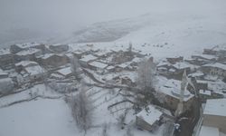 Bayburt ve Gümüşhane'de kar etkili oldu