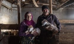 Besiciler kuzu ve oğlak doğumlarında zorlu mücadele veriyor