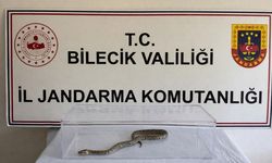 Bilecik'te bir evde nesli tehlike altında bulunan piton ele geçirildi