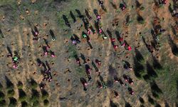 Bilecik'te Kızılay gönüllüleri fidanları toprakla buluşturdu