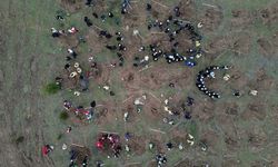 Bilecik'te Şeyh Edebali Hatıra Ormanı oluşturuldu