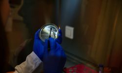 Bilim insanı, sivrisinekle mücadelede kullanılan bakteri proteinlerinin miktarını artıran yöntem geliştirdi