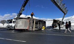 Bitlis'te büyükbaş hayvan yüklü iki tır devrildi