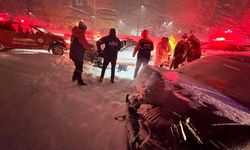 Bitlis'te iki otomobilin çarpıştığı kazada 7 kişi yaralandı