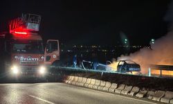 Bitlis'te seyir halindeki otomobil yandı