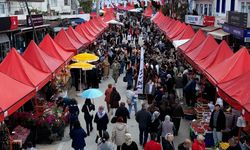 Bodrum'da 7. Acı Ot Festivali binlerce kişiyi ağırladı